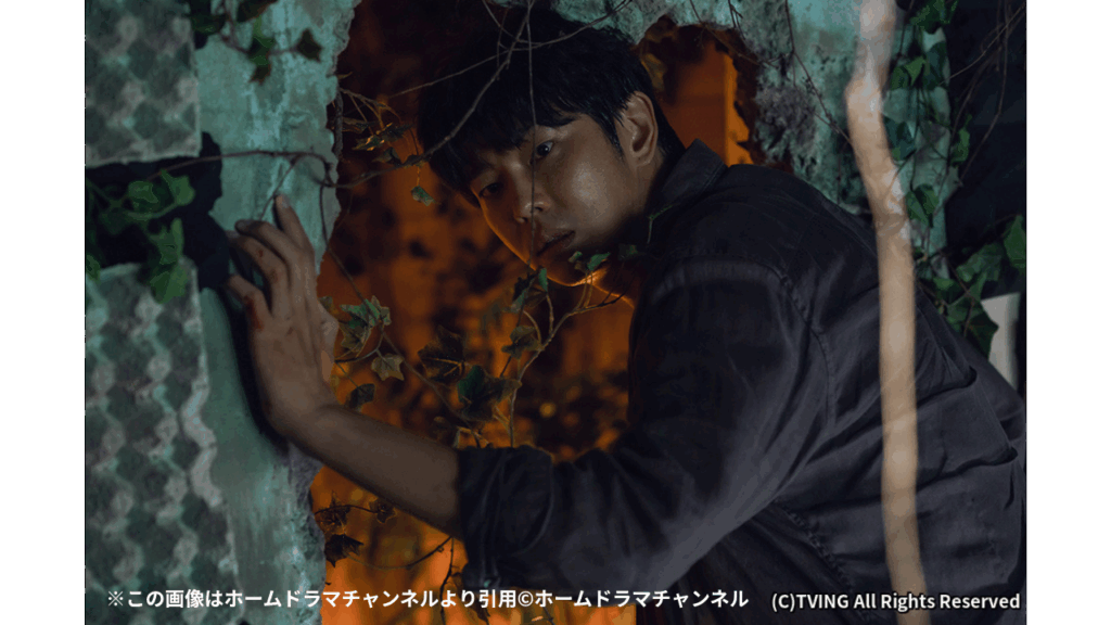 ※この画像はホームドラマチャンネルより引用©ホームドラマチャンネル