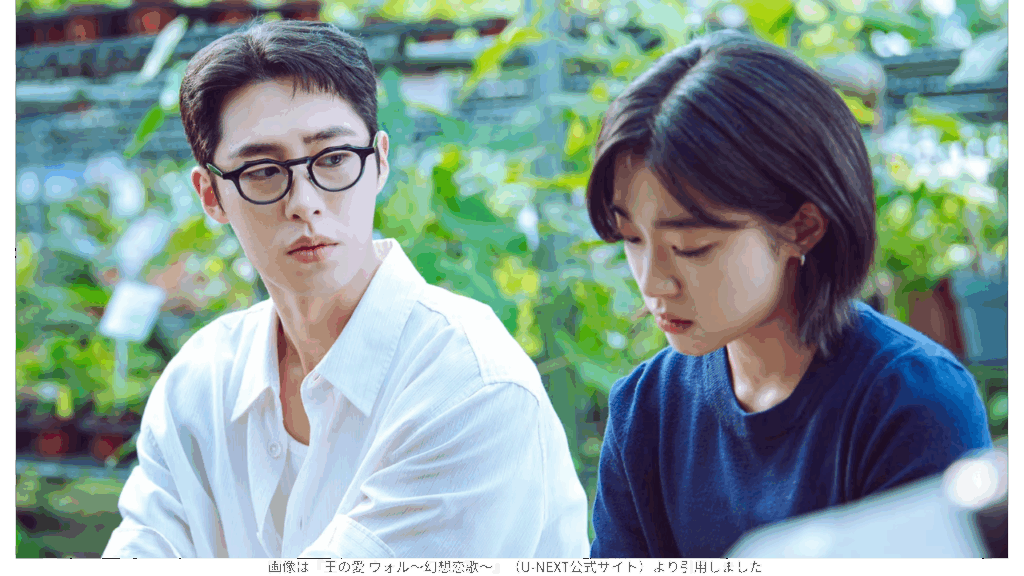 画像は『王の愛 ウォル～幻想恋歌～』（U-NEXT公式サイト）より引用しました