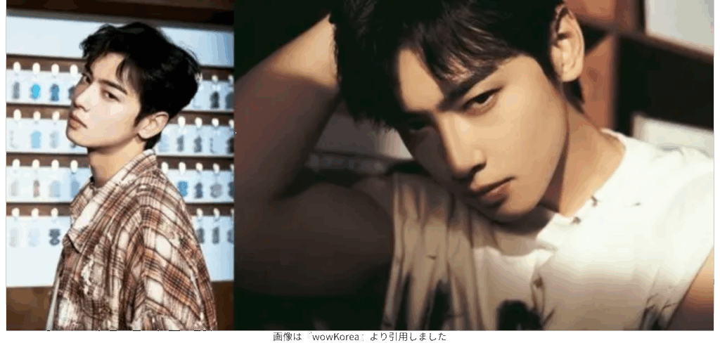 画像は『wowKorea』より引用しました