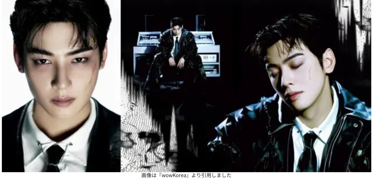 画像は『wowKorea』より引用しました