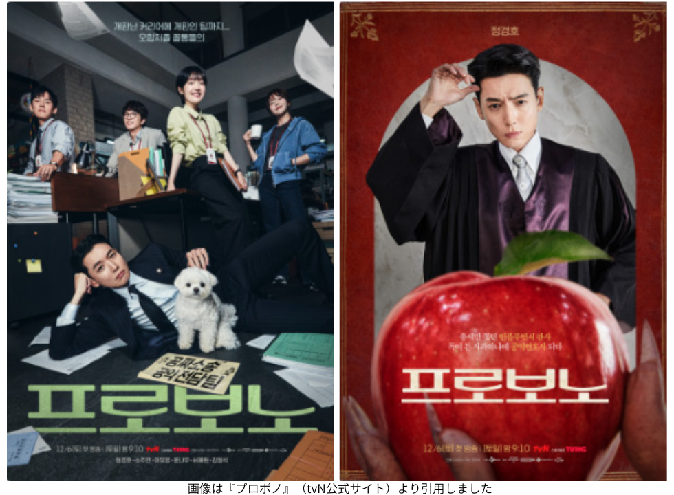 画像は『プロボノ』（tvN公式サイト）より引用しました