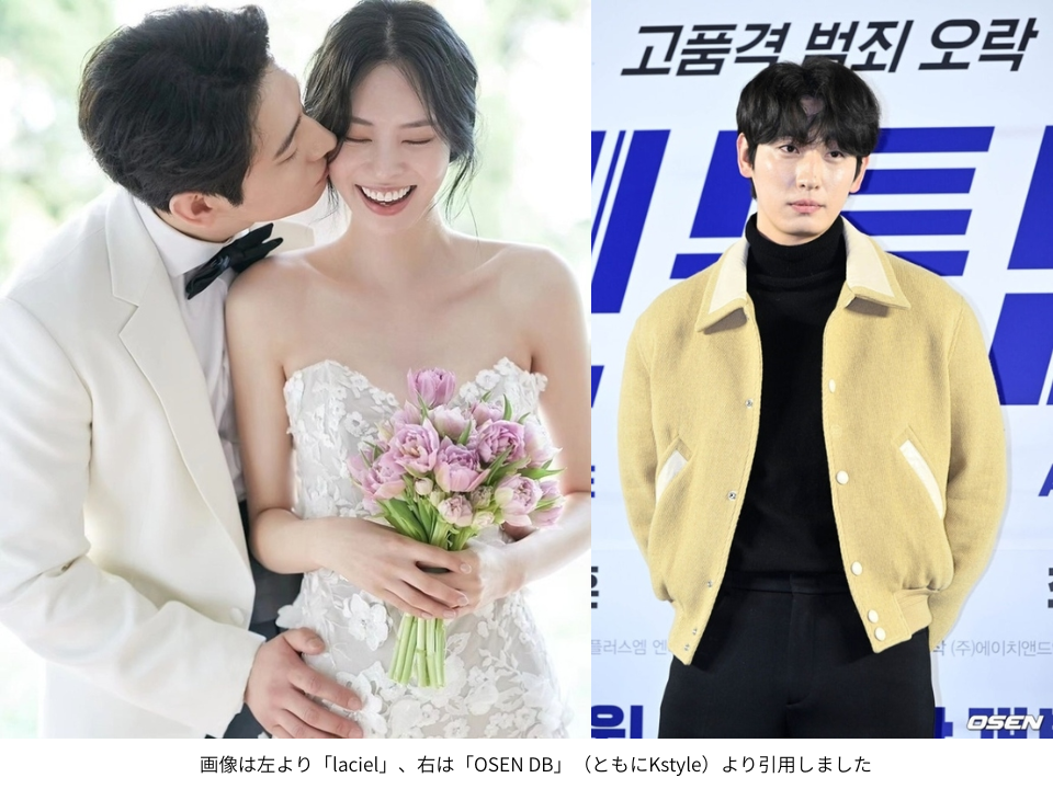 画像は左より「laciel」、右は「OSEN DB」（ともにKstyle）より引用しました